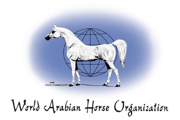 سازمان جهانی اسب عرب