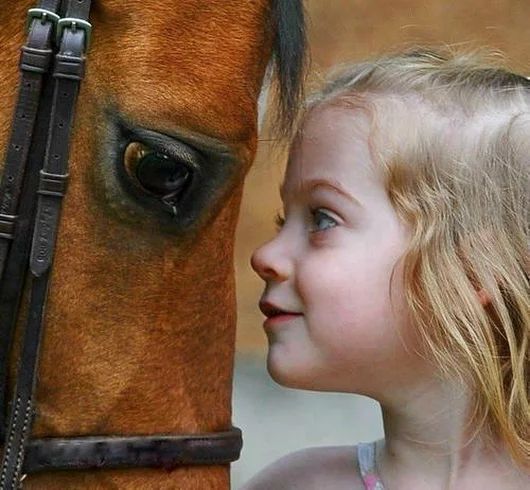 عکس اسب و دخترک اختلال شخصیت