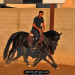 خرید اسب ترکمن خرید اسب ترکمن اصیل خرید اسب ترکمن آخال تکه خرید اسب ترکمن یموت خرید اسب ترکمن ارزان قیمت اسب ترکمن طلایی قیمت اسب ترکمن در ایران خرید فروش اسب ترکمن خرید و فروش اسب ترکمن خرید و فروش اسب ترکمن صحرا قیمت فروش اسب ترکمن خرید و فروش اسب ترکمن خرید و فروش اسب ترکمن صحرا قیمت خرید اسب ترکمن قیمت خرید اسب اصیل ترکمن قیمت فروش اسب ترکمن قیمت بهترین اسب ترکمن قیمت اسب ترکمن در گنبد کاووس خرید اسب ترکمن اصیل خرید اسب ترکمن ارزان قیمت اسب ترکمن اصیل قیمت اسب ترکمن مسابقه ای خرید اسب بندر ترکمن فروش اسب ترکمن پرشی خرید اسب ترکمن آخال تکه قیمت اسب ترکمن آخال تکه فروش اسب ترکمن آخال تکه قیمت اسب جوان ترکمن در ایران قیمت اسب ترکمن چناران قیمت اسب ترکمن چقدر است خرید اسب ترکمن خالص