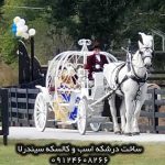 قیمت کالسکه اسب سواری خرید کالسکه اسب فروش کالسکه اسب کالسکه اسب در ایران کالسکه با اسب سفید کالسکه با اسب کالسکه اسب عروس عکس کالسکه و اسب
