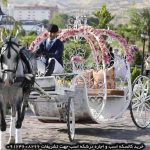 قیمت کالسکه اسب سواری خرید کالسکه اسب فروش کالسکه اسب کالسکه اسب در ایران کالسکه با اسب سفید کالسکه با اسب کالسکه اسب عروس عکس کالسکه و اسب