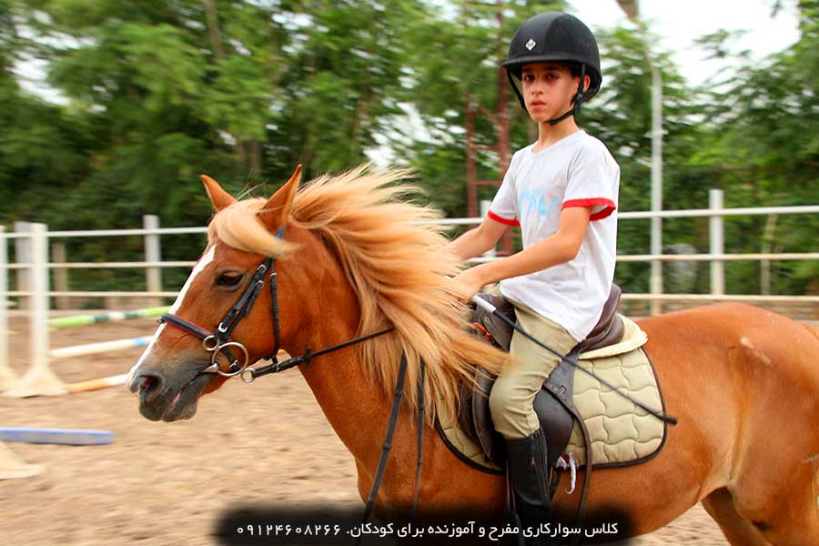 اردوی سوارکاری کودکان: تجربه ای فراموش نشدنی با اسب ها! ثبت نام کنید. اردوی سوارکاری کودکان: تقویت اعتماد به نفس و مهارت های اجتماعی با سوارکاری.