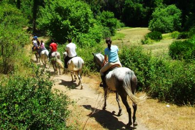 تور گردشگری با اسب