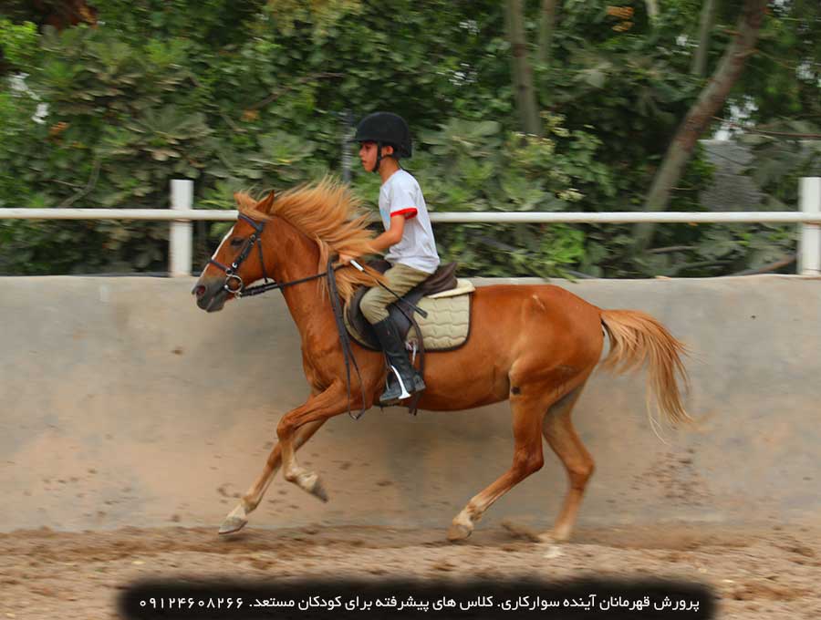 آموزش اسب سواری به کودکان