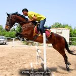 رید اسب پرشی بلژین وارمبلاد با شجره قهرمانی