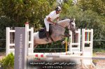 فروش اسب ترکمن پرشی جوان در ایران