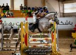 فروش اسب پرشی با پاسپورت